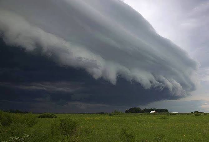 Des pluies inhabituelles attendues dans plusieurs régions du pays du 1er au 3 novembre